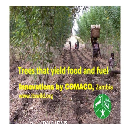 Dale lewis-comaco-trees-4 food-and-fuel | PDF