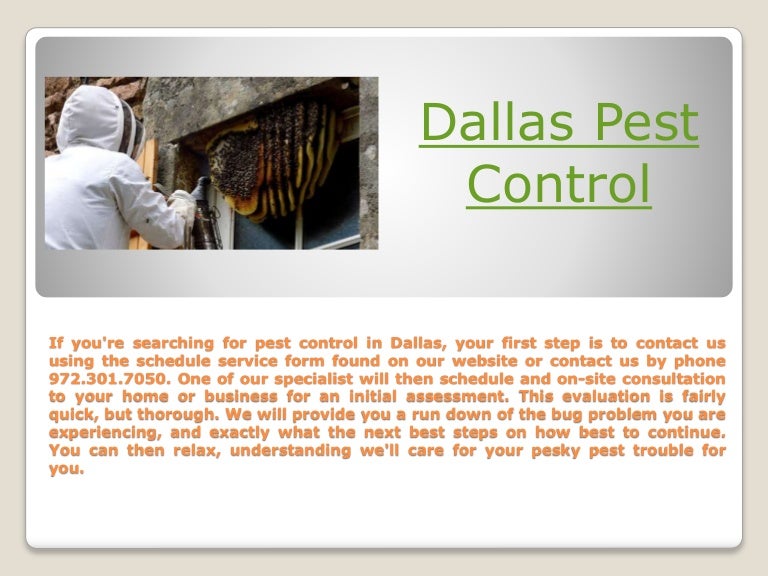 Dallas pest control