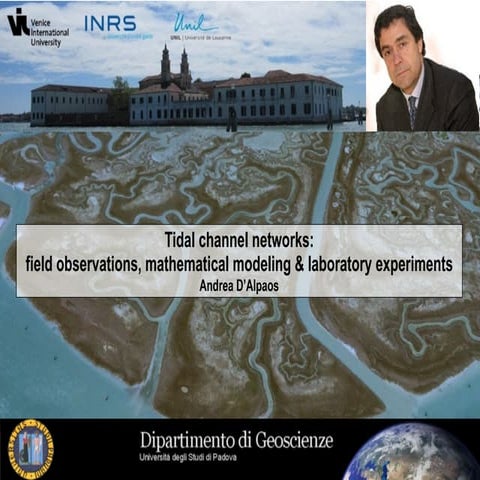 Tidal networks geomorphology