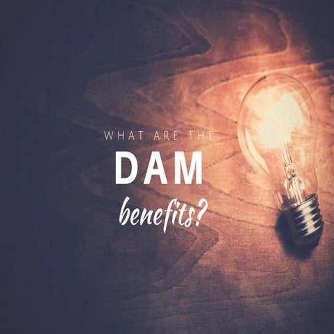 What are the DAM Benefits?