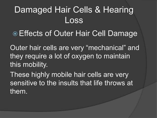 Damaged hair cells & hearing loss