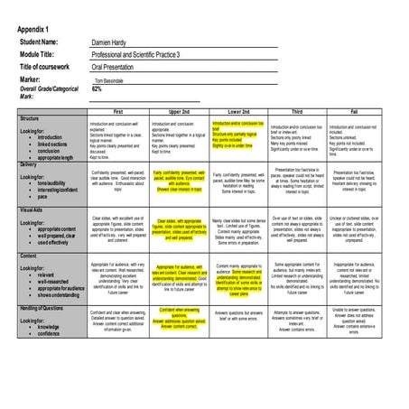 Damien H PSP3 presentation assessment grid.docx