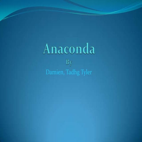 Damien tadhg tyler animal facts slide show