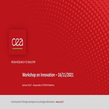 Workshop of Innovation Funseam Transnet- Damien Valet 