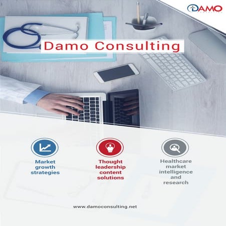 Damo Consulting Corporate Brochure