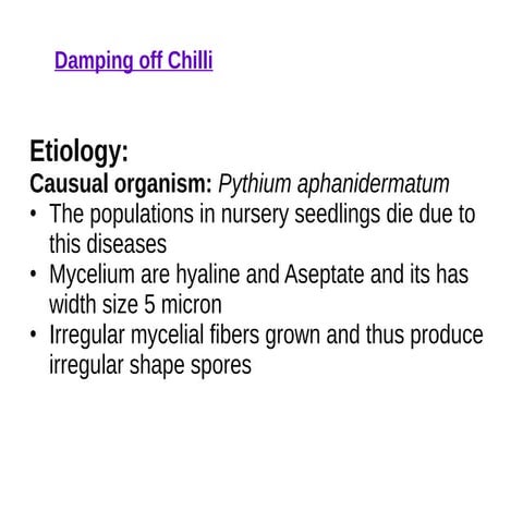 Understanding Damping Off Disease in Chilli: Causes and Disease Cycle ...