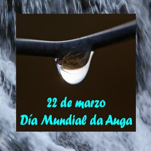 Día mundial da auga 2012-ies asorey