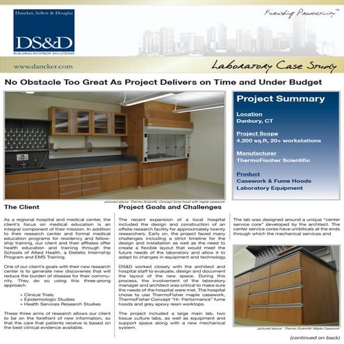 DSD - Danbury Case Study efile