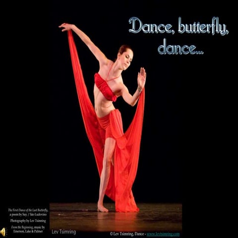 DANCE, BUTTERFLY, DANCE, a poem by Suy / São Ludovino