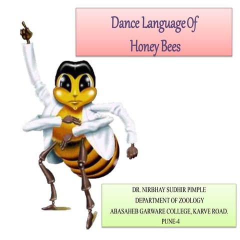 Dance language honeybee