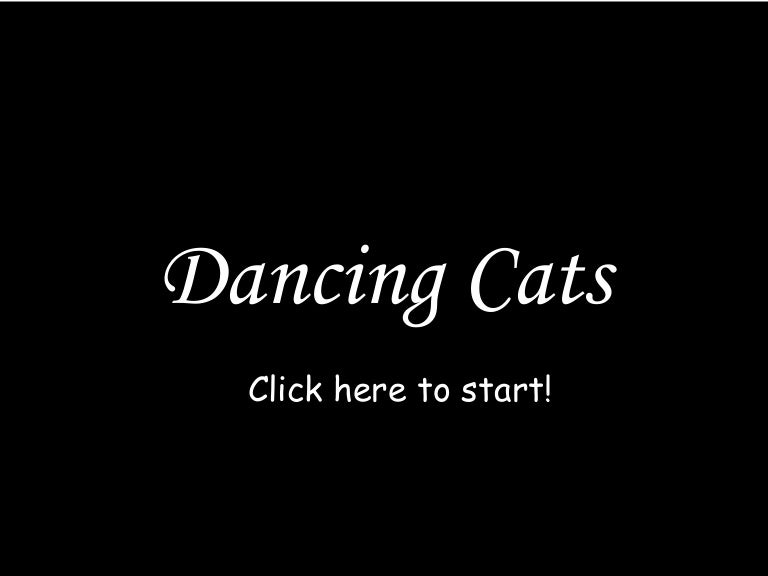 Dancing Cats Video
