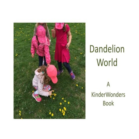 Dandelion Book | PPT