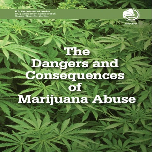 Global Medical Cures™ | Dangers & Consequences of Marijuana Abuse