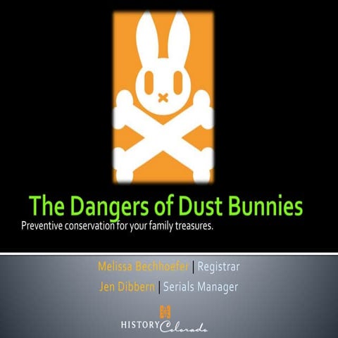 Dangers of Dust Bunnies