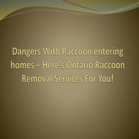 Top Line Pest Control Raccoon Removal .pptx