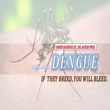 Dangue - If they breed, you will bleed.