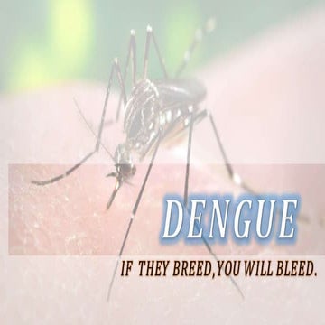Dangue : a common viral Disease in the World
