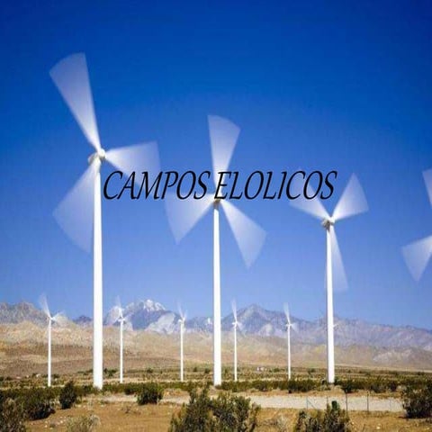 campos eolicos daniela