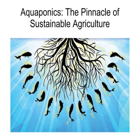 Aquaponics: Sustainable Agriculture