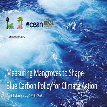 Measuring Mangroves to Shape Blue Carbon Policy for Climate Action