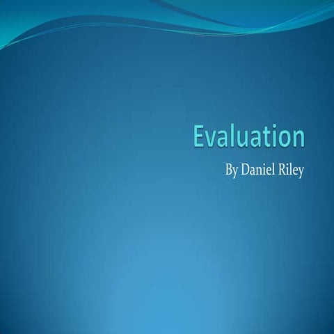 Daniel Riley Foundation Portfolio Evaluation