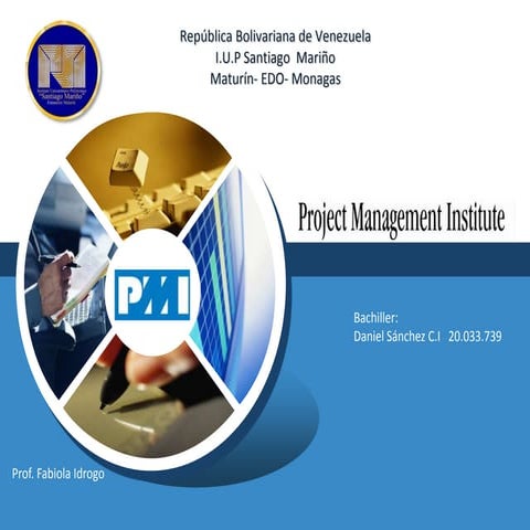 Mapa conceptual PMI | PPTX