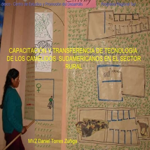 Capacitación y transferencia de tecnología de los camélidos sudamericanos en ...