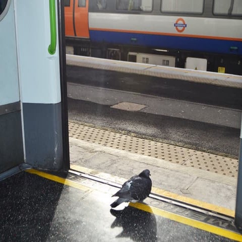 Dan Lockton Behavior Design Amsterdam New Year 2016