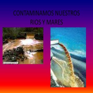 Daños al medio ambiente ofim.