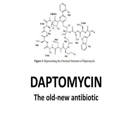 daptomycin.pdf