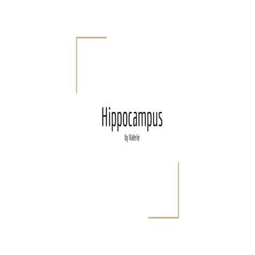 Hippocampus