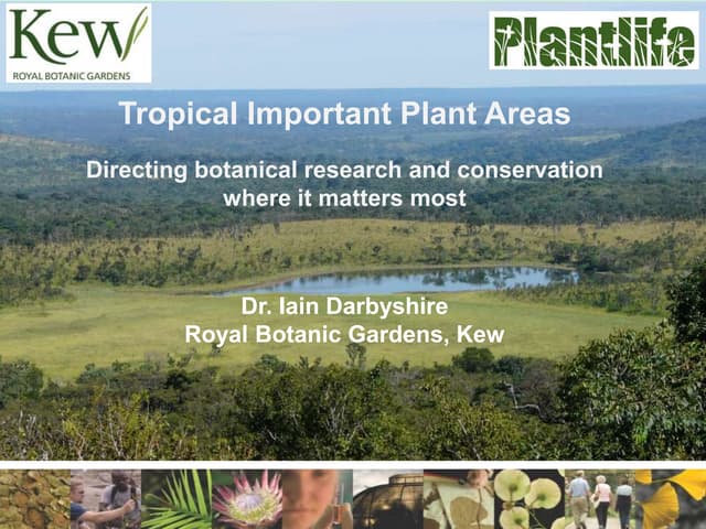 Tropical important plant areas: directing botanical research and conservation where it matters most