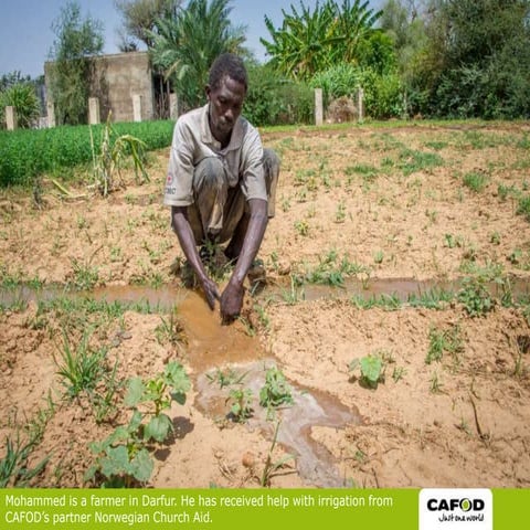 Photos from Darfur: a week with CAFOD's partner Norwegian Church Aid 