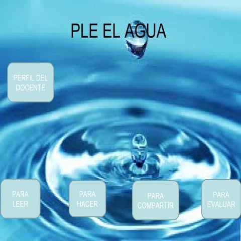 Dario  ayala barreto 13252601