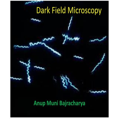 Dark field microscopy