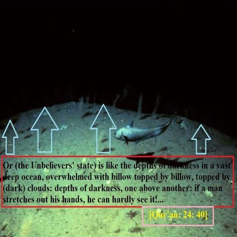 Darkness in the depths of the oceans | PPTX