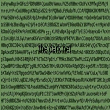 The dark net – Jamie Bartlett