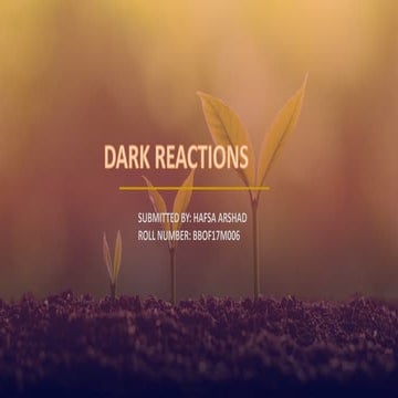 Dark reactions  in plants