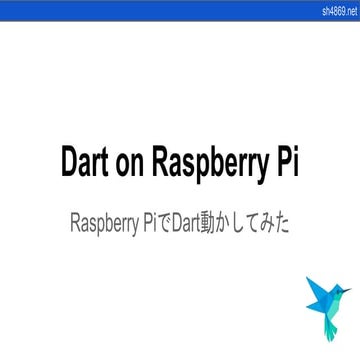 Dart on Raspberry Pi