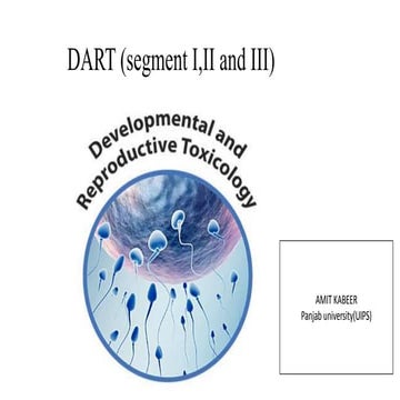 Dart (segment i,ii and iii) | PPTX