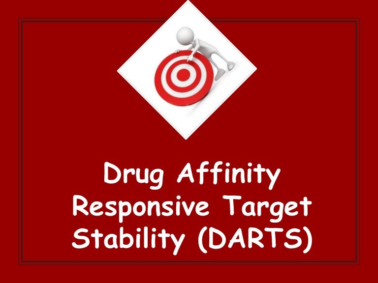 Darts target identification