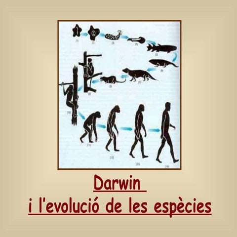 Darwin i l'evolució de les espècies