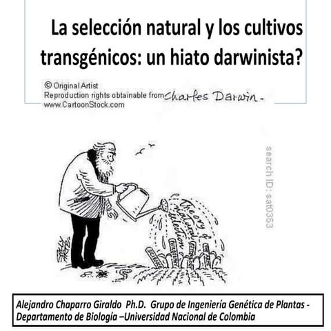 Darwin y los cultivos transgénicos