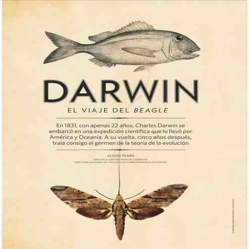DARWIN (EL VIAJE DEL BEAGLE) | PDF