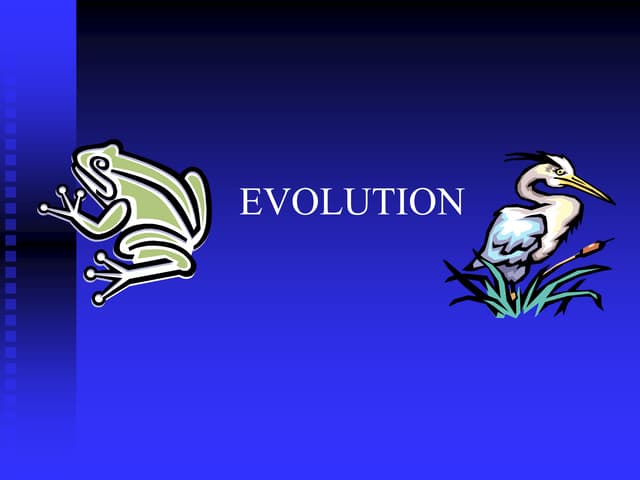 darwin evolution ppt.pptx