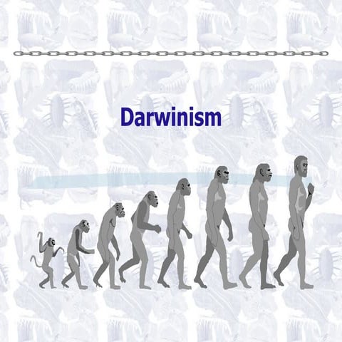 Darwinism (Feb 2009)