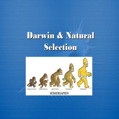 Darwin natural selectionnotes