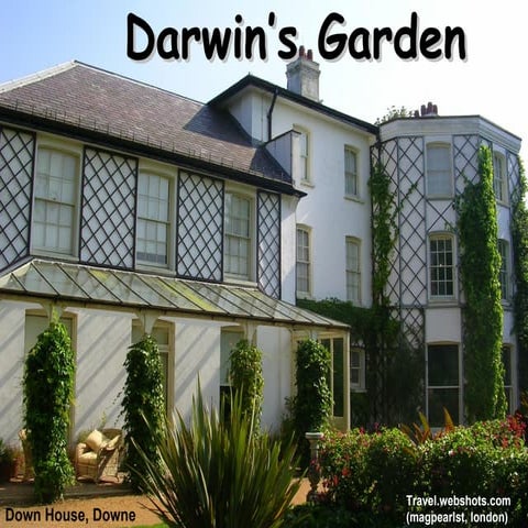 Darwin's Garden