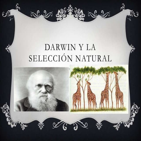 Darwin y la selección natural
