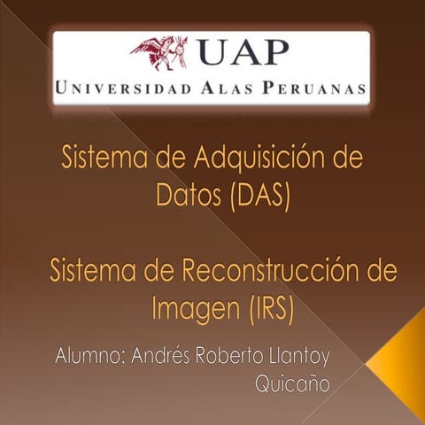 Sistema Adquisicion de Datos y Sistema de Reconstruccion de Imagen (DAS y IRS)
